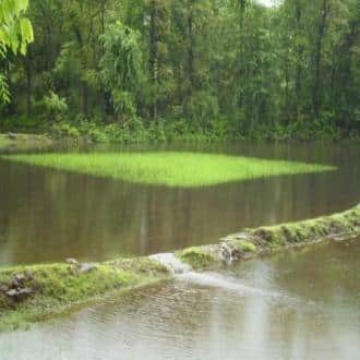 Stay In A Farm In Raigad, Raigad 4
